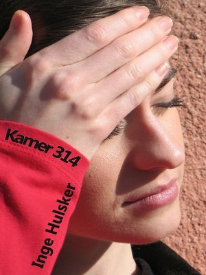 cover image of Kamer 314